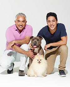 Cesar Millan ile Köpekler Diyarı