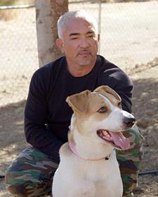 Cesar Millan: İyi İnsan, İyi Köpek