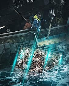 Deadliest Catch