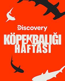 Köpek Balığı Haftası