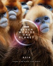 Seven Worlds, One Planet