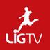 Nuri Şahin`in LİG TV`ye açıklamaları