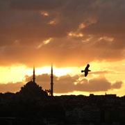 Kayıp Medeniyet